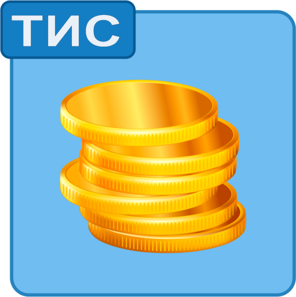 ТИС ввод в эксплуатацию (основная касса)